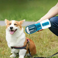 Pet lover 6