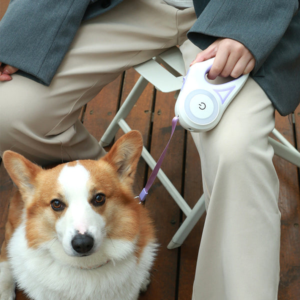 Retractable Dog Leash with LED Light - 3M/5M
