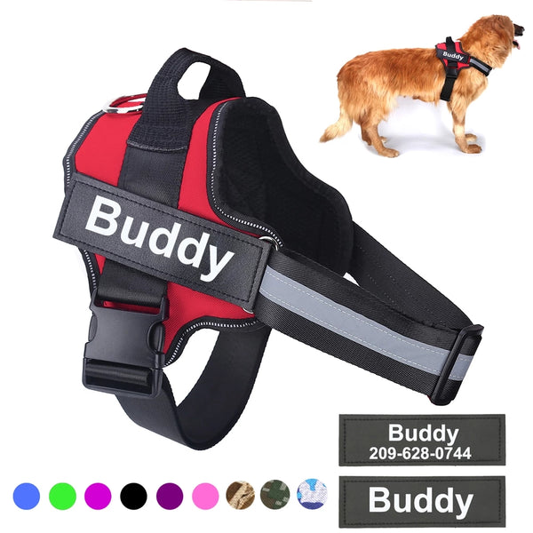 Personalized Custom Name Dog Harness